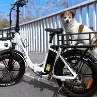 Der ultimative Leitfaden für E-Bikes: Was Sie vor dem Kauf wissen müssen