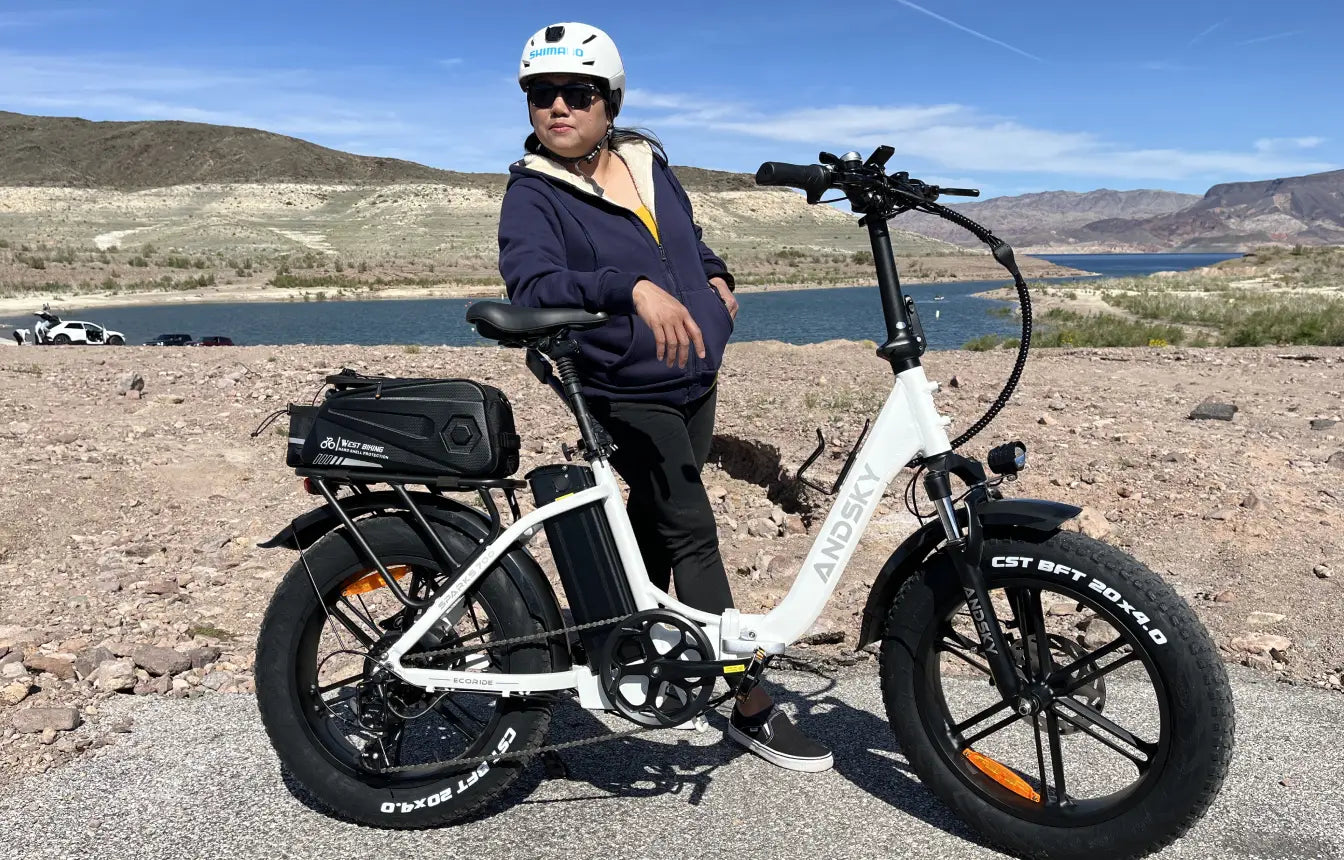 Tiefeinsteiger-E-Bikes